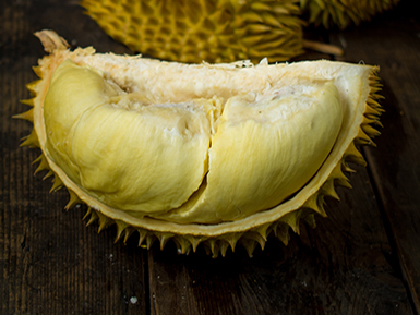 九游官方入口基地展示二