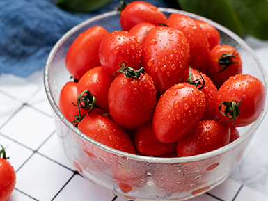 九游官方入口基地展示六